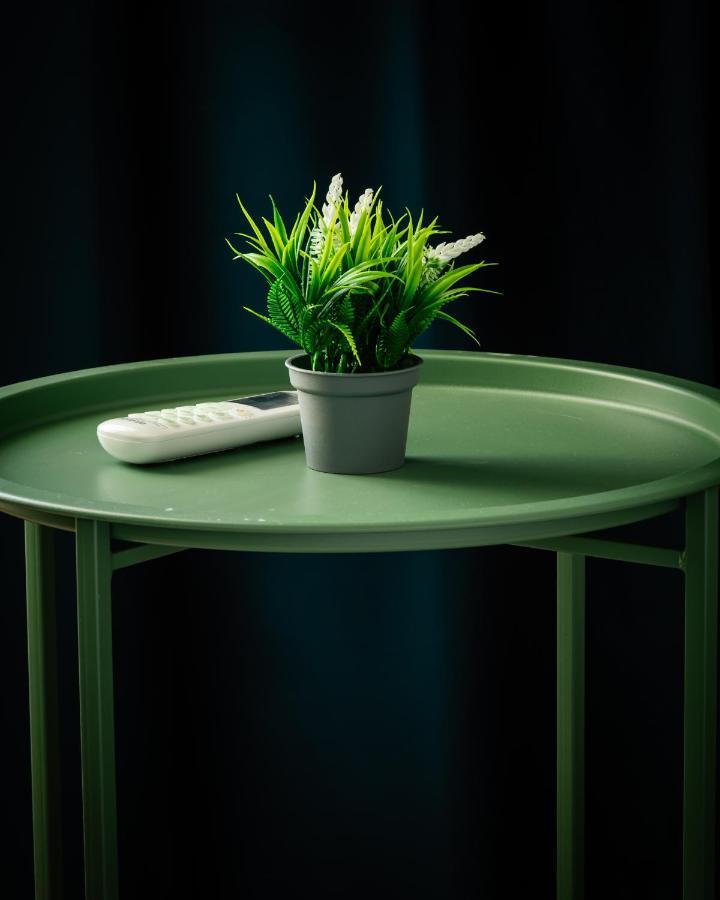 Cozy And Chic Studio Apartment ティラナ エクステリア 写真